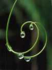 gouttes d'eau artistiques